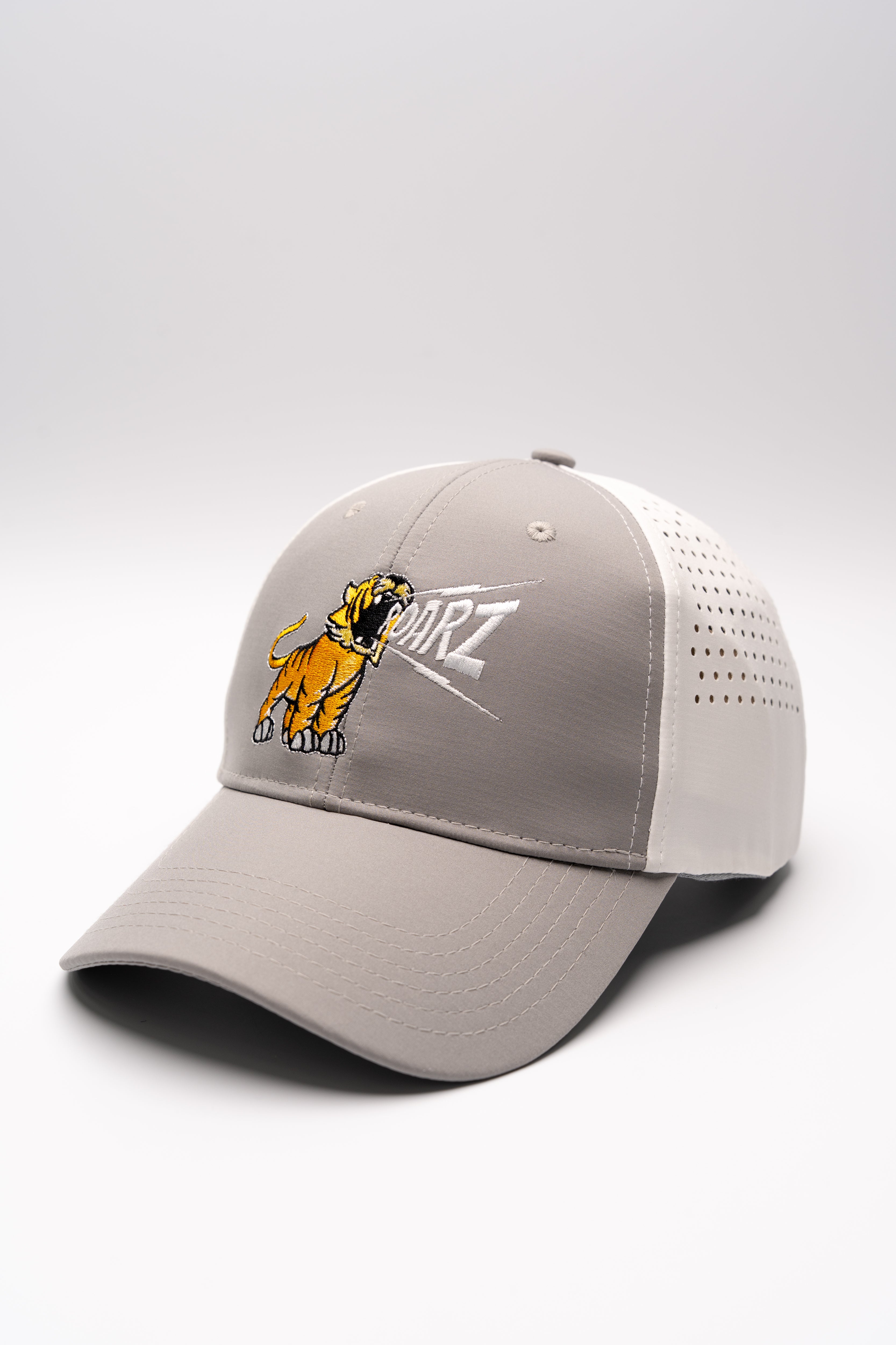 Roarz Cap - Grey