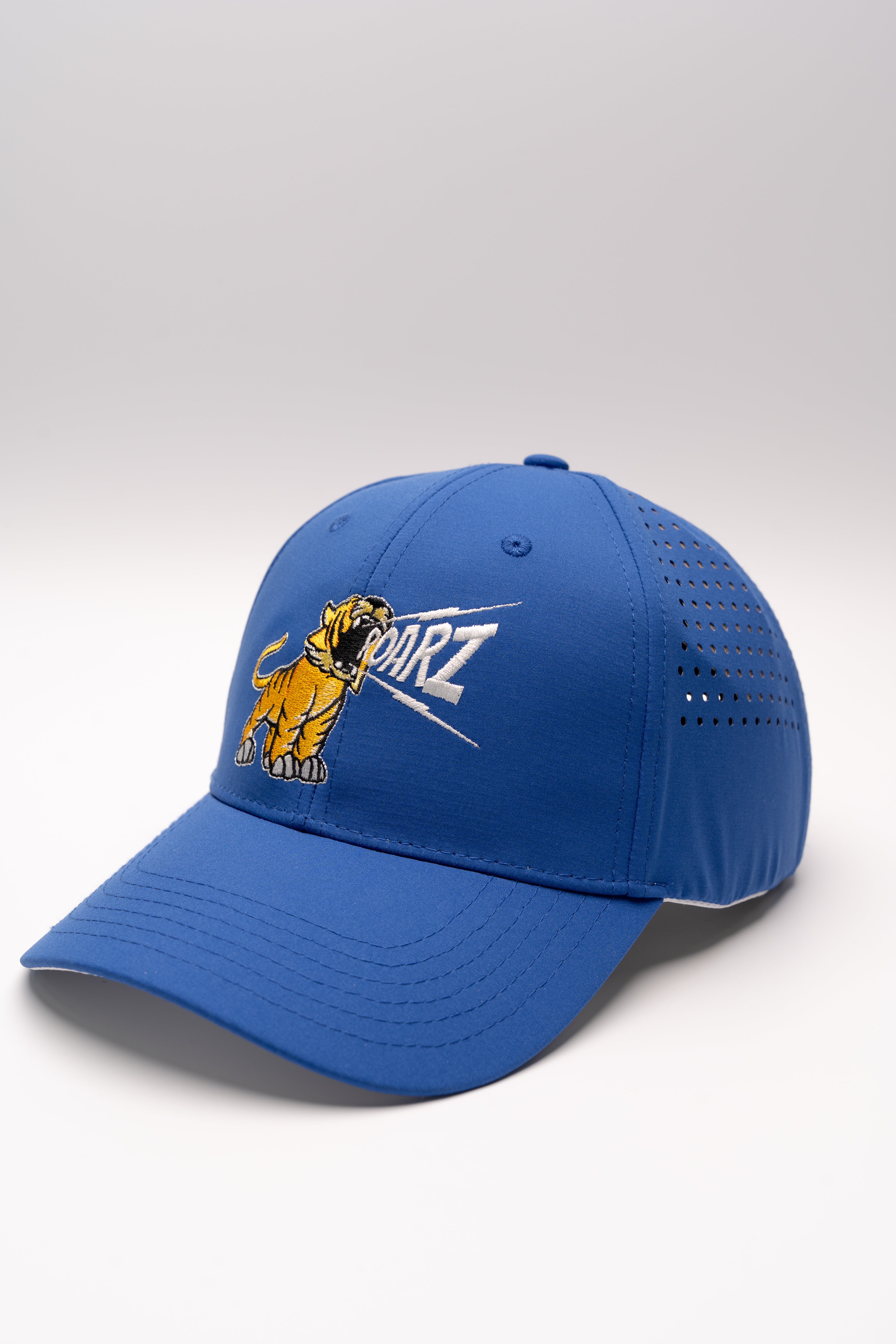 Roarz Cap - Blue